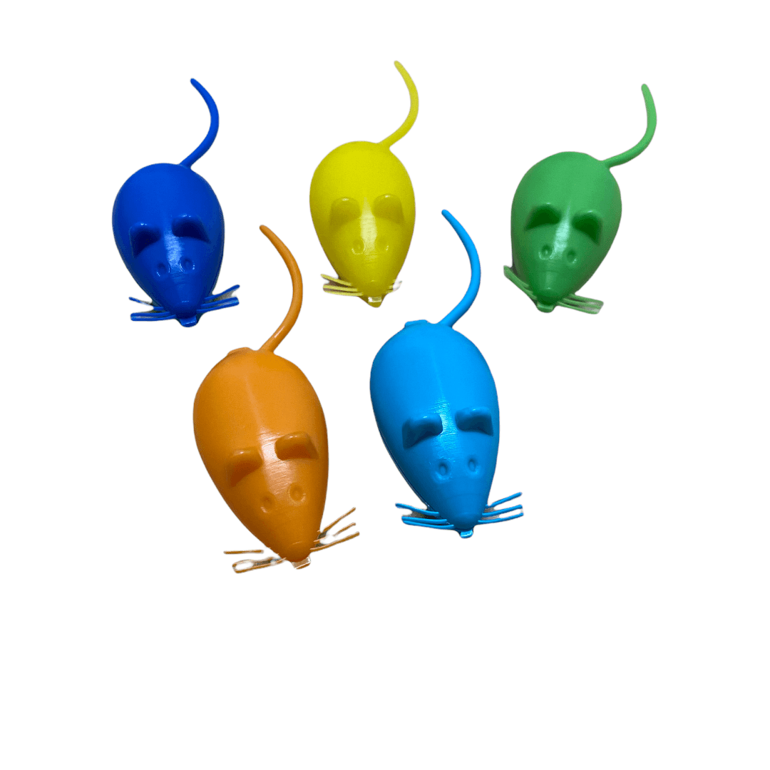 RATONES PARA GUARDAR DIENTES