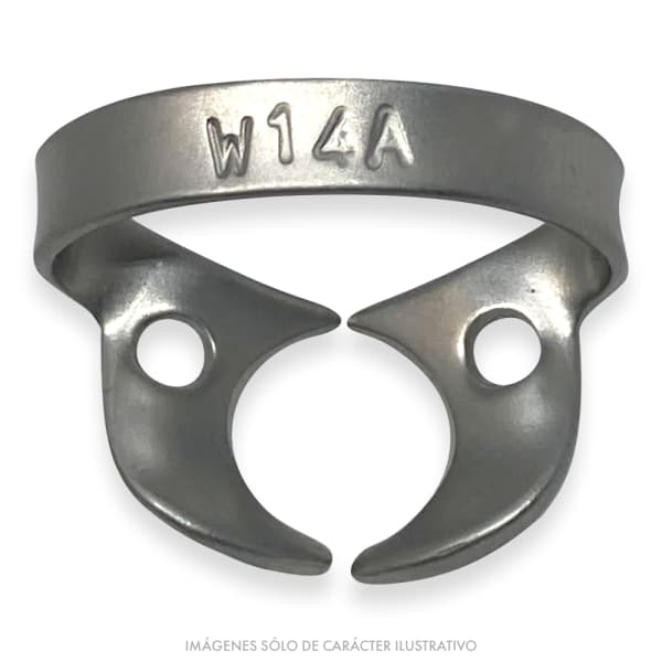 Clamp W14A Molar Grande Horquilla Angulada sin Aleta MEDISPOREX