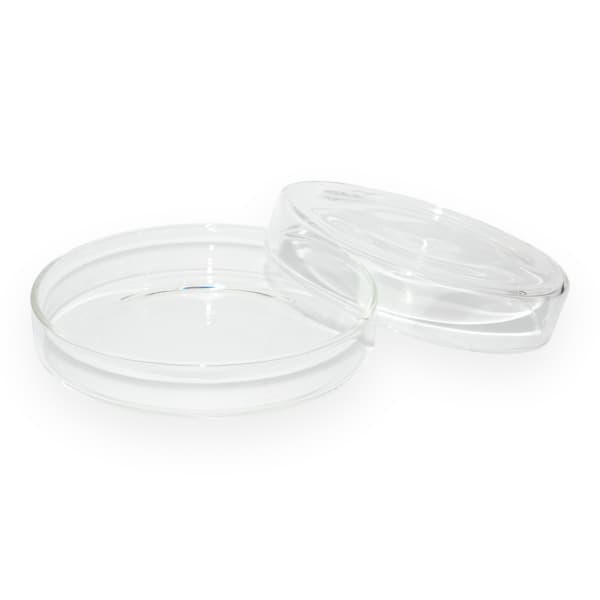 Cápsula de Petri Chica 60mm