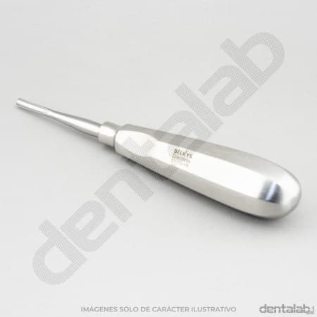 Elevador Apical Grueso Recto 304 BELKYS