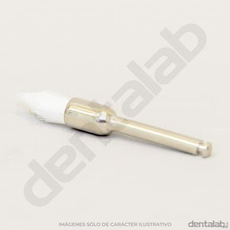 Cepillito Brochita CA Profilaxis Forma Punta Transparente