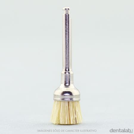 Cepillito Brochita CA Profilaxis Forma Copa Pelo de Caballo