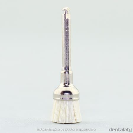 Cepillito Brochita CA Profilaxis Forma Copa Pelo de Cabra