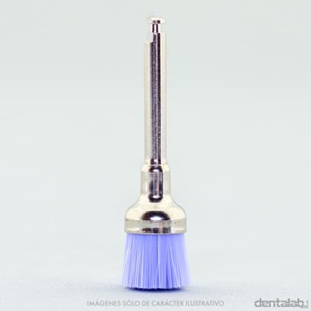 Cepillito Brochita CA Profilaxis Forma Copa Lila Opaco