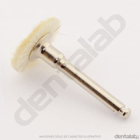 Cepillito Disco CA de Pelo de Cabra 10mm x Unidad