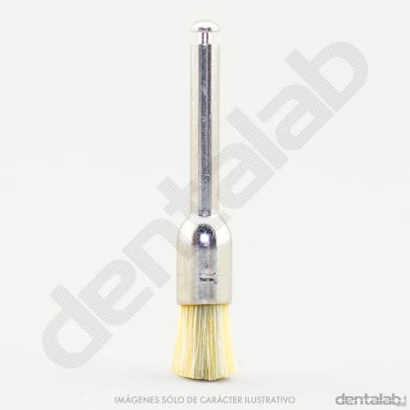 Cepillito Brochita CA Profilaxis Pelo de Caballo