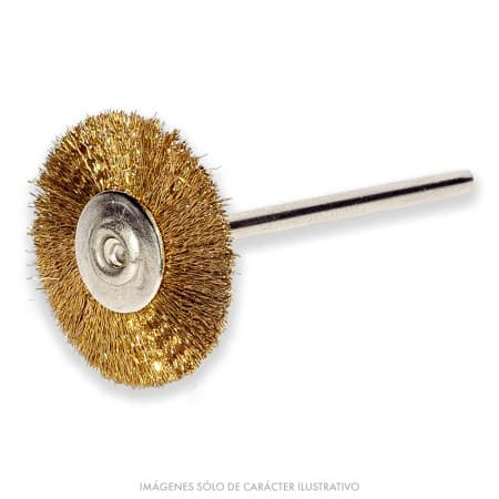 Cepillito Disco Bronce PM