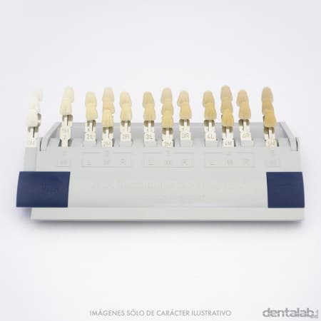 Muestrario Guía de Colores VITA 3D-MASTER - 29 Colores