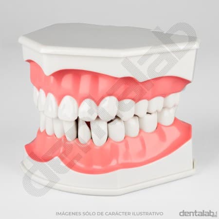 MacroModelo Plástico para Cepillado