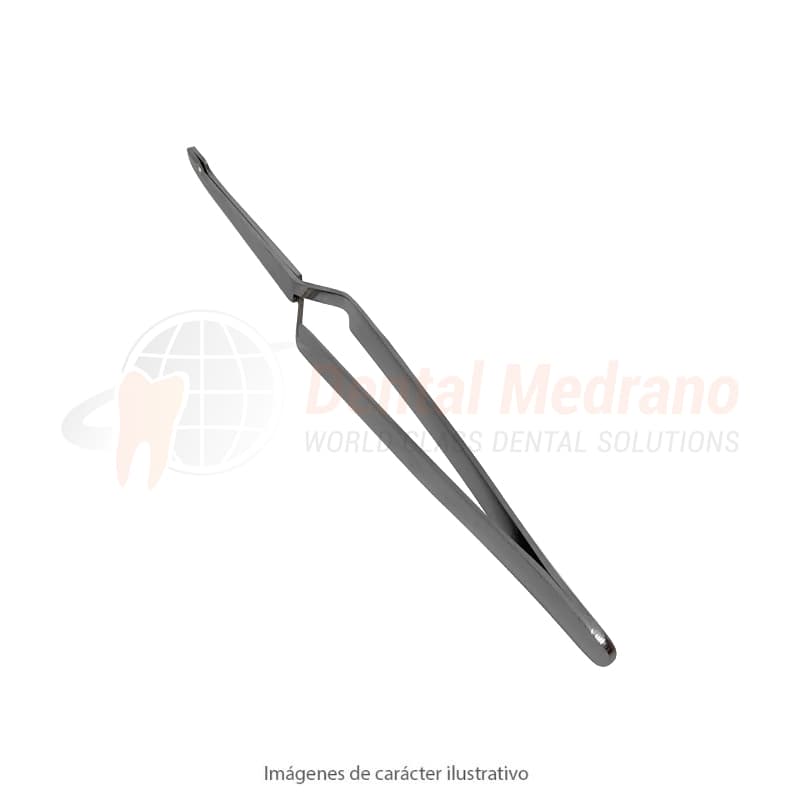 Pinza Porta Bracket