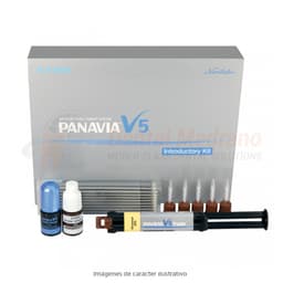 PANAVIA V5 CLEAR KIT