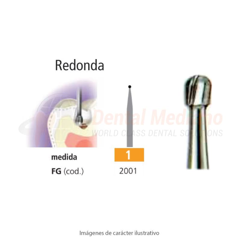 FRESA FG 1 REDONDA – EASYDENT