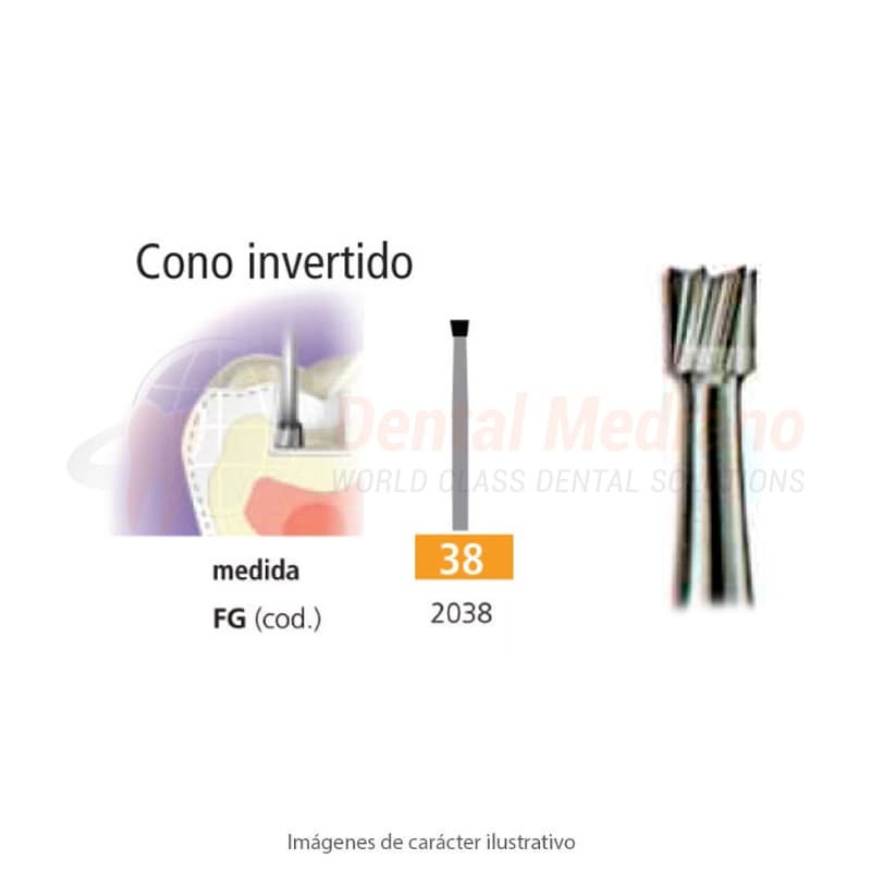 FRESA FG 38 CONO INVERT – EASYDENT