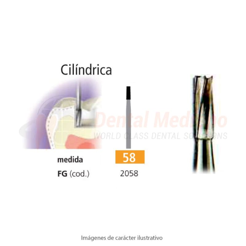 FRESA FG 58 CILINDRICA LISA – EASYDENT