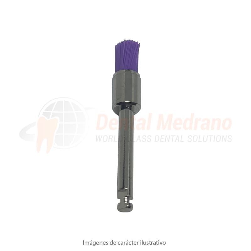 CEPILLITO BROCHITA CA VIOLETA SOFT