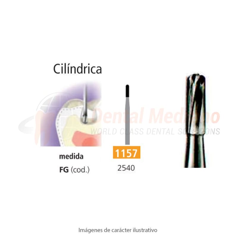 FRESA FG 1157 CILINDRICA LISA ROMA – EASYDENT