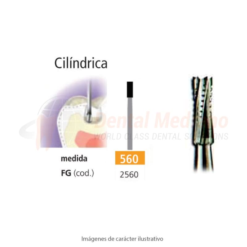 FRESA FG 560 CILINDRICA DENTADA – EASYDENT