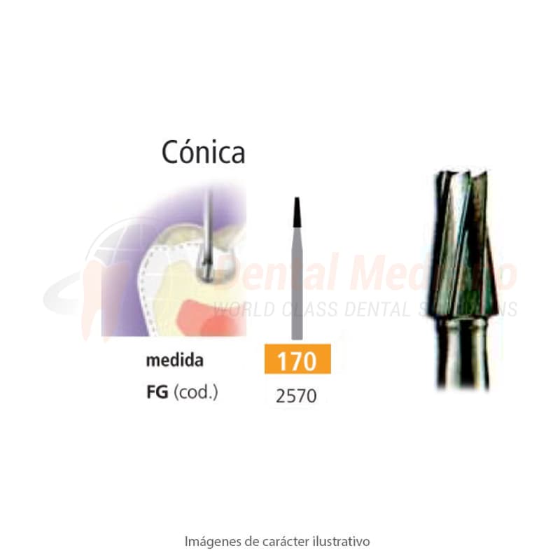 FRESA FG 170 CONICA LISA – EASYDENT