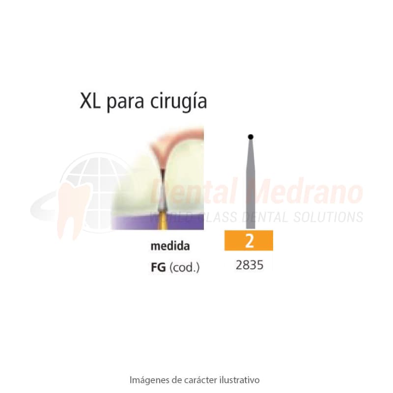 FRESA FGXL 2 REDONDA – EASYDENT