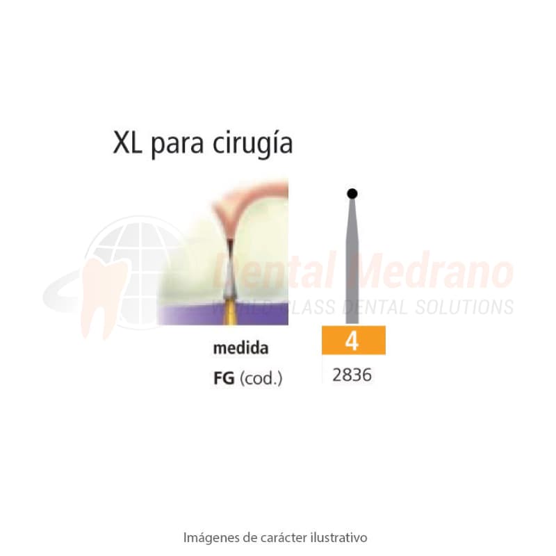 FRESA FGXL 4 REDONDA – EASYDENT