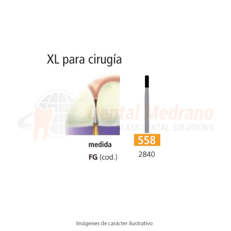FRESA FGXL 558 CILINDRICA DENT – EASYDENT