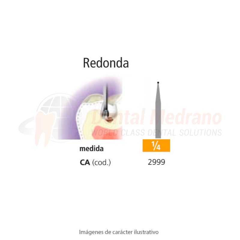 FRESA CA 1/4 REDONDA – EASYDENT
