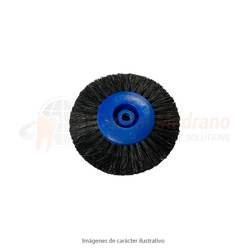 CEPILLO RUEDA 4X40X80 4Hileras Conv.Cerda Negra