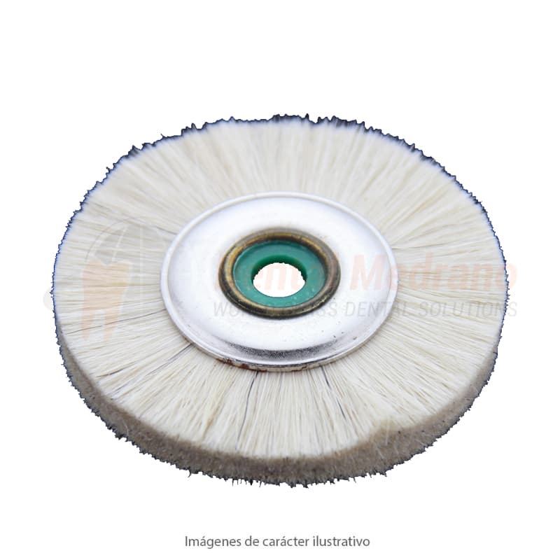 CEPILLO RUEDA 48X9MM plano Pelo de Cabra 03G48 bla