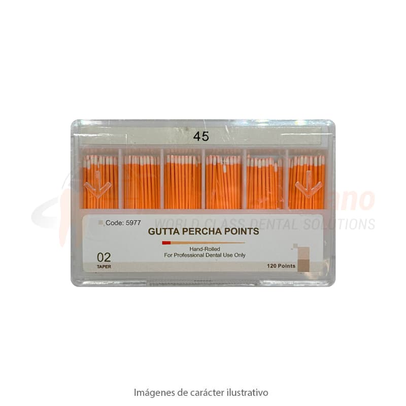 CONOS GUTTA taper02 45 x120 28mm TB Easydent