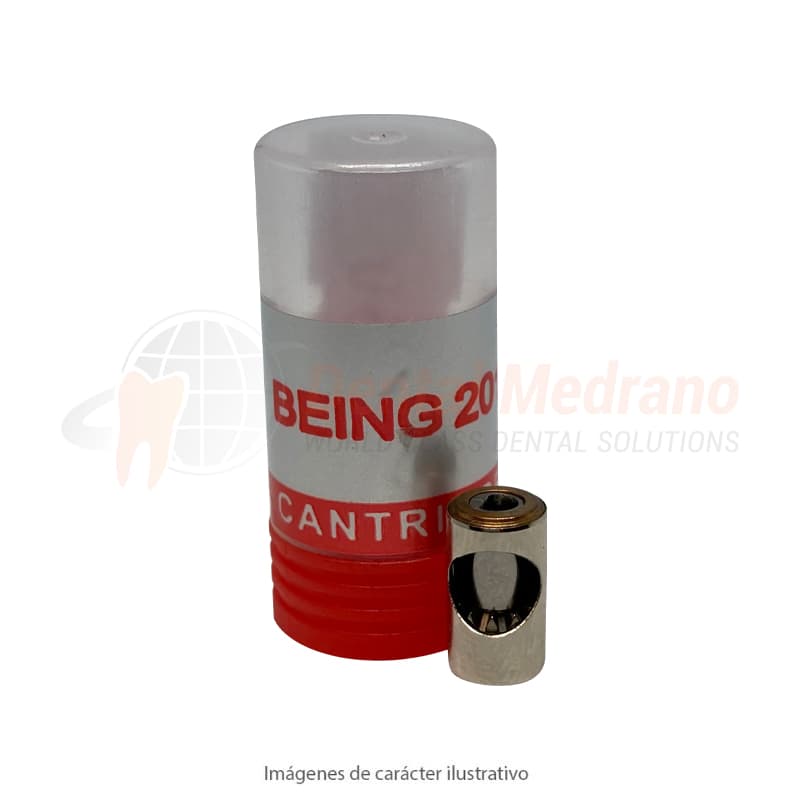 Cartucho CA 201CA Rose