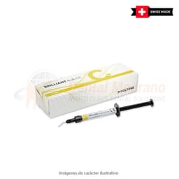 BRILLIANT BULK FILL Flow 2.3g color universal mult