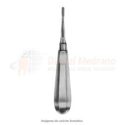 ELEVADOR APICAL Recto 304 Fig.4 GDK eg-022-04 mang