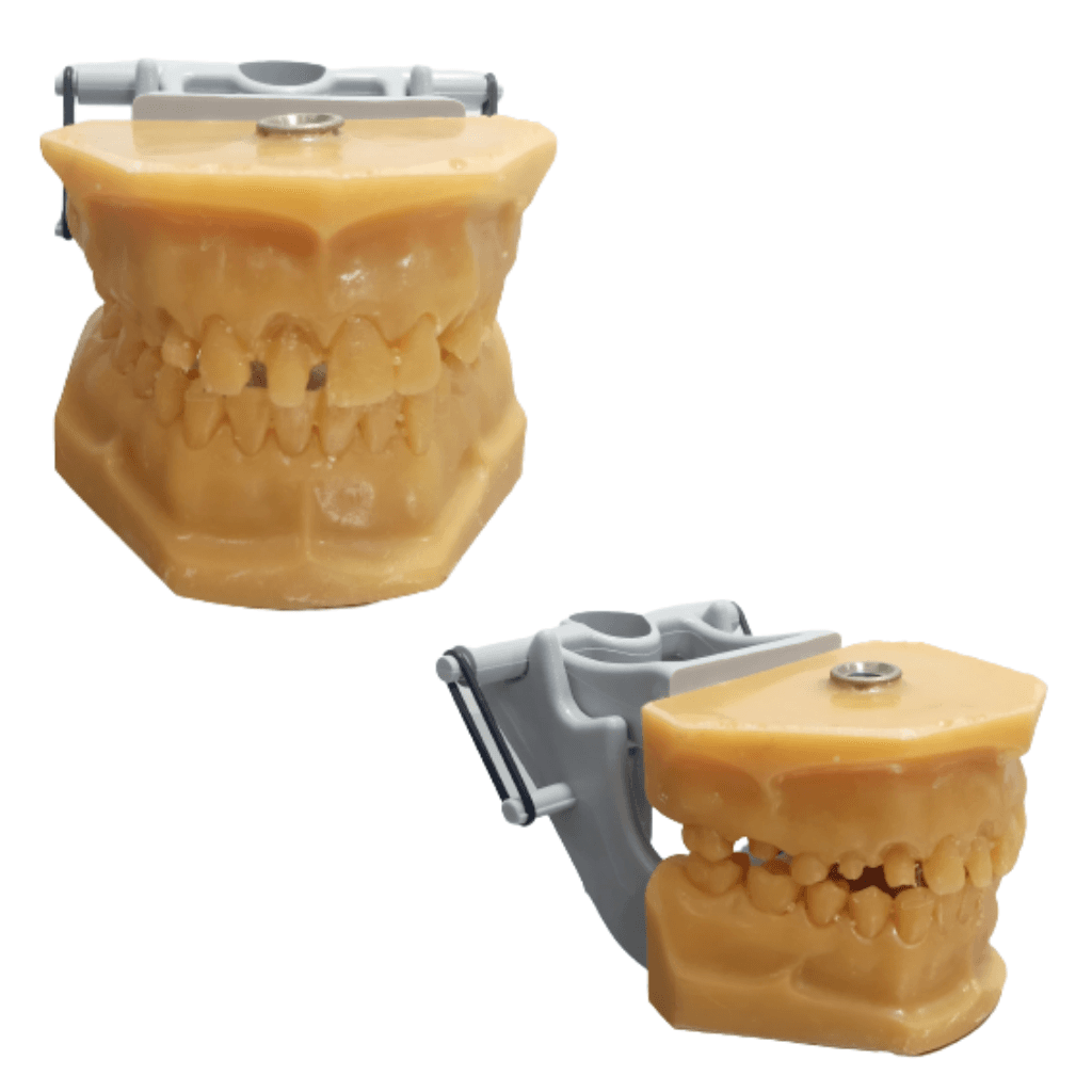 MODELO PARA CATEDRA PROTESIS 1 B