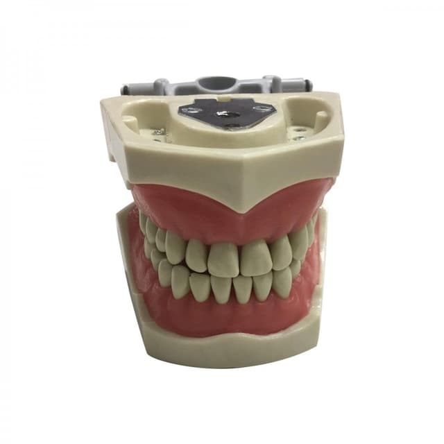 MODELO ARTICULADO PARA OPERATORIA