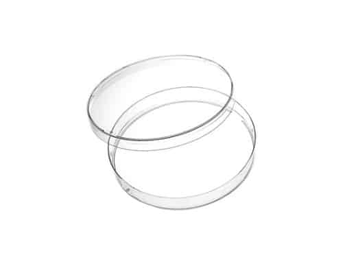 Cápsula de Petri Grande. Vasiden