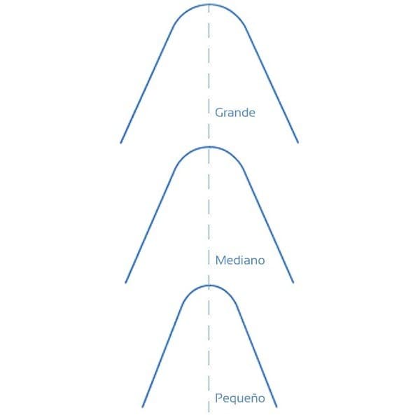 SELECTOR PARA ARCOS LINGUALES