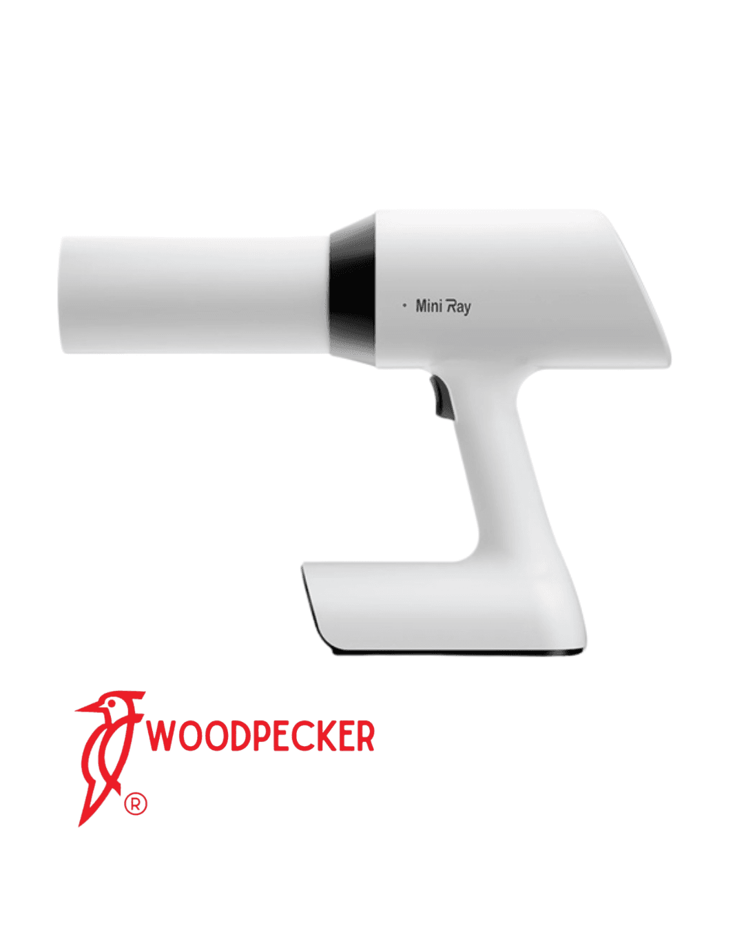 RX Portatil Mini Ray – WoodPecker