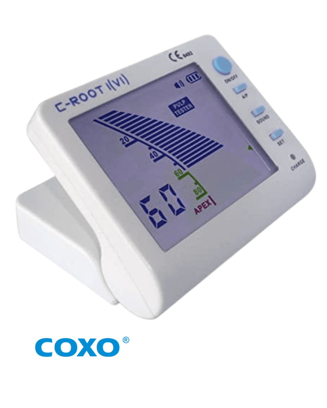 LOCALIZADOR DE APICE C-ROOT I (IV) – Coxo