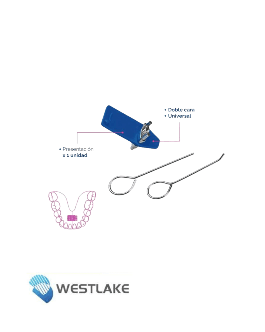 Tornillo de expansión – Westlake