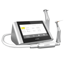 Motor Eléctrico y Endomotor Coxo