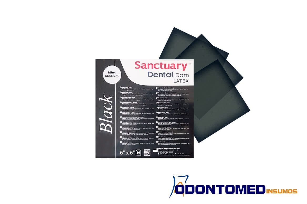 GOMAS DIQUE SANCTUARY NEGRO