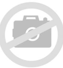 DIENTES KAVO ORIGINALES X