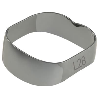 BANDAS LISAS – MORELLI