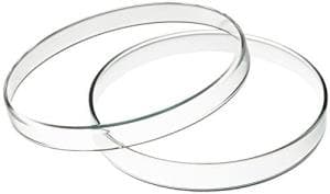 Capsula de petri grande