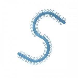 Gomas para separar molares en S