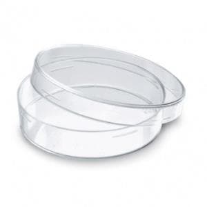 Capsula de petri grande plastica