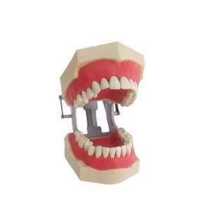 Modelo MO17 operatoria - protesis