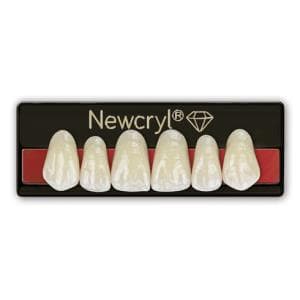 Dientes Newcryl tableta anterior superior 3M