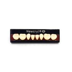 Dientes Newcryl tableta posterior inferior 30L