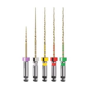 Limas Trunatomy 4 limas Primer